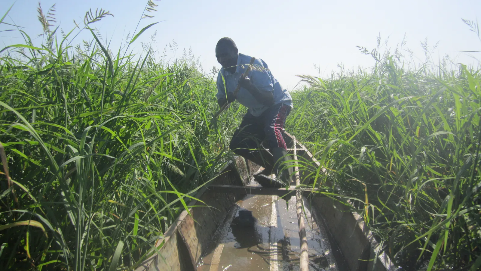 In the Logone Floodplain.