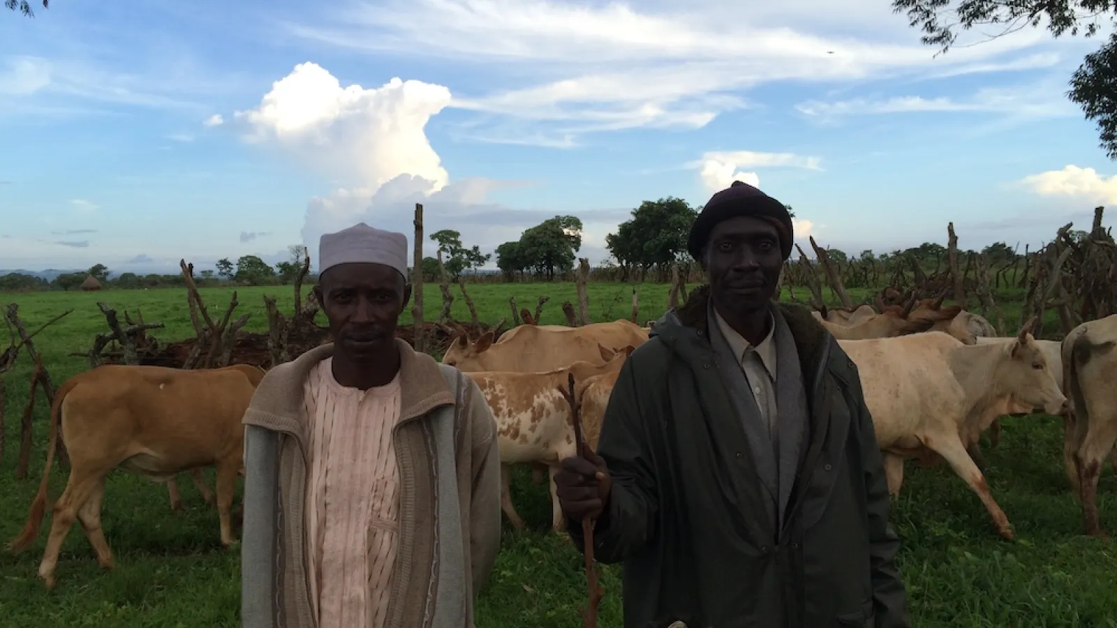 Herders on the ranch in Cameroon.