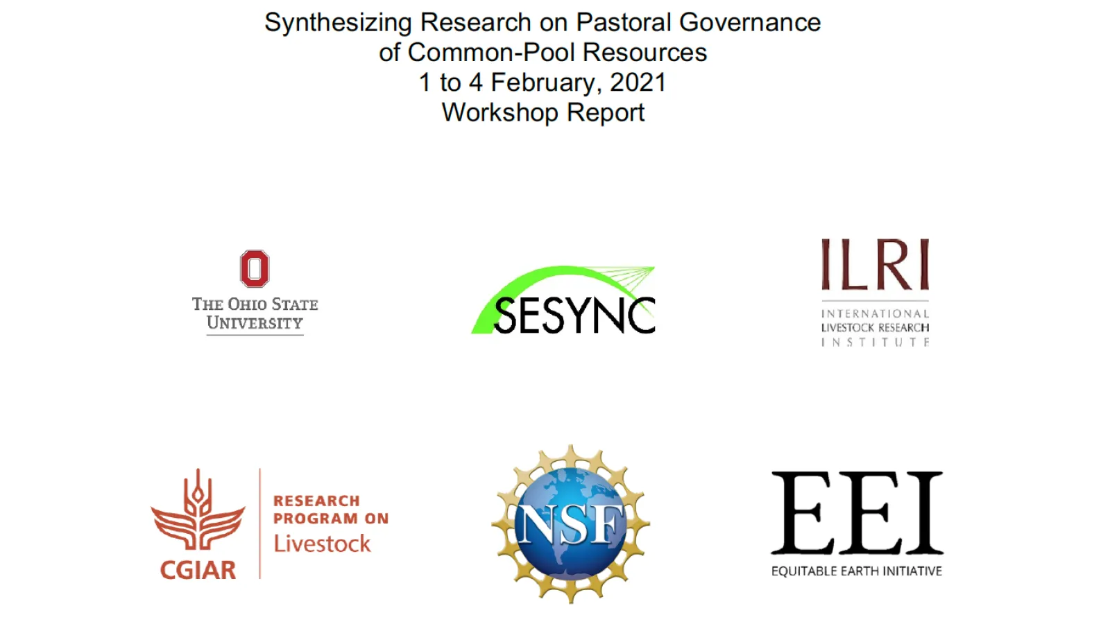 Workshop report cover with logos.