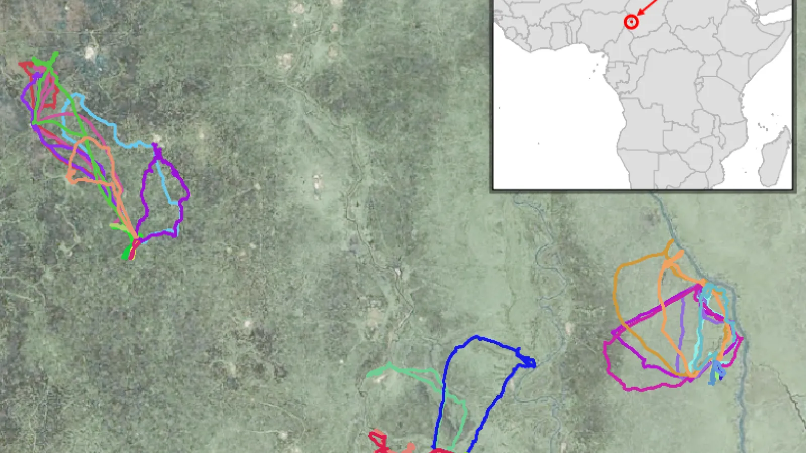 Map of the study area with herd tracks.