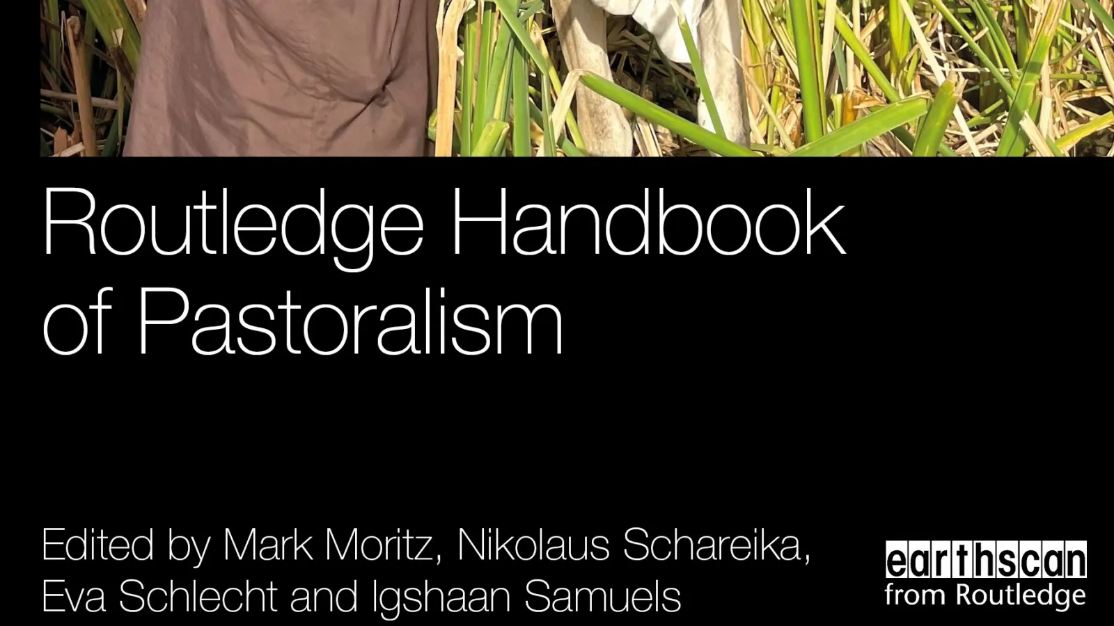 Screenshot of book cover.