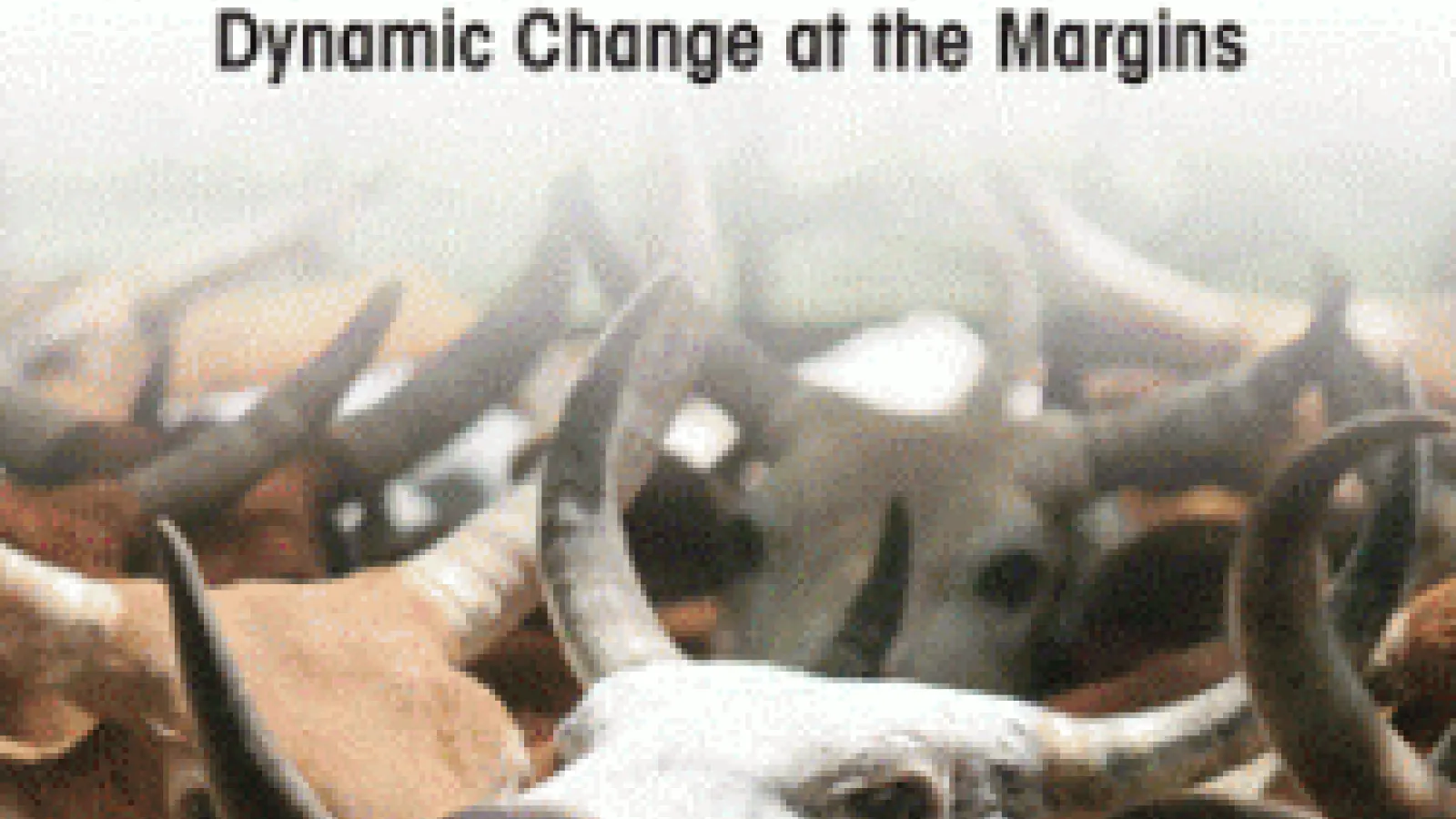 Pastoralism and development in Africa Cover
